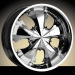 Zinik Z3 Bellflower Wheel.jpeg